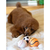 ThoozyPet Tennis Ball Assorted Fetch Dog Toy 2.5"