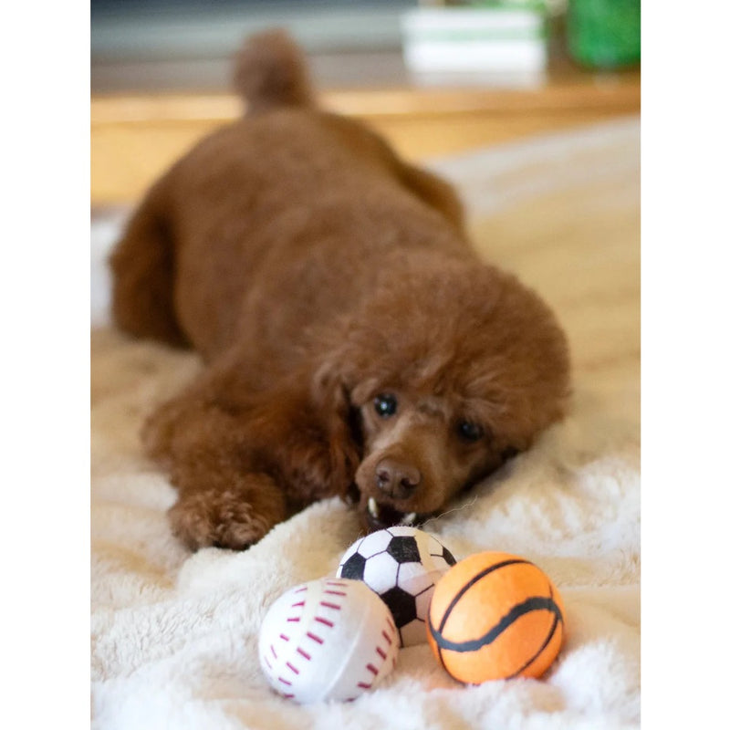 ThoozyPet Tennis Ball Assorted Fetch Dog Toy 2.5"