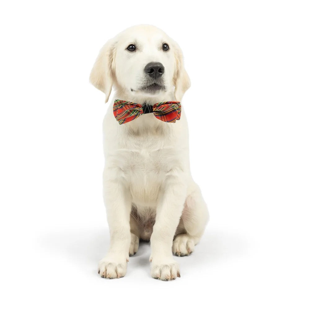 Huxley & Kent Shiny Christmas Plaid Bow Tie