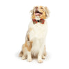 Huxley & Kent Shiny Christmas Plaid Bow Tie