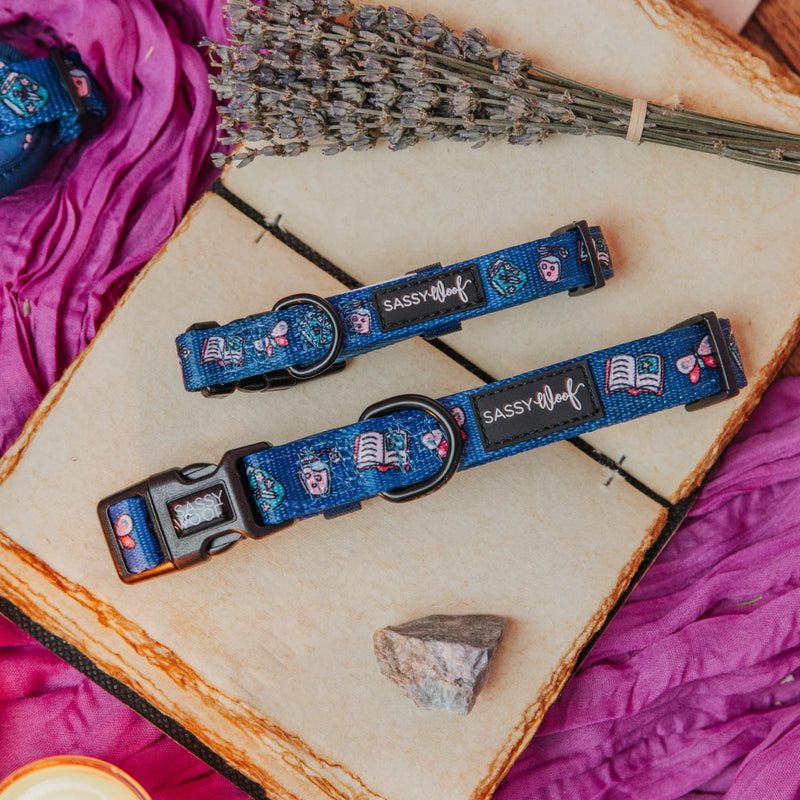Sassy Woof Dog Collar - Spellbound