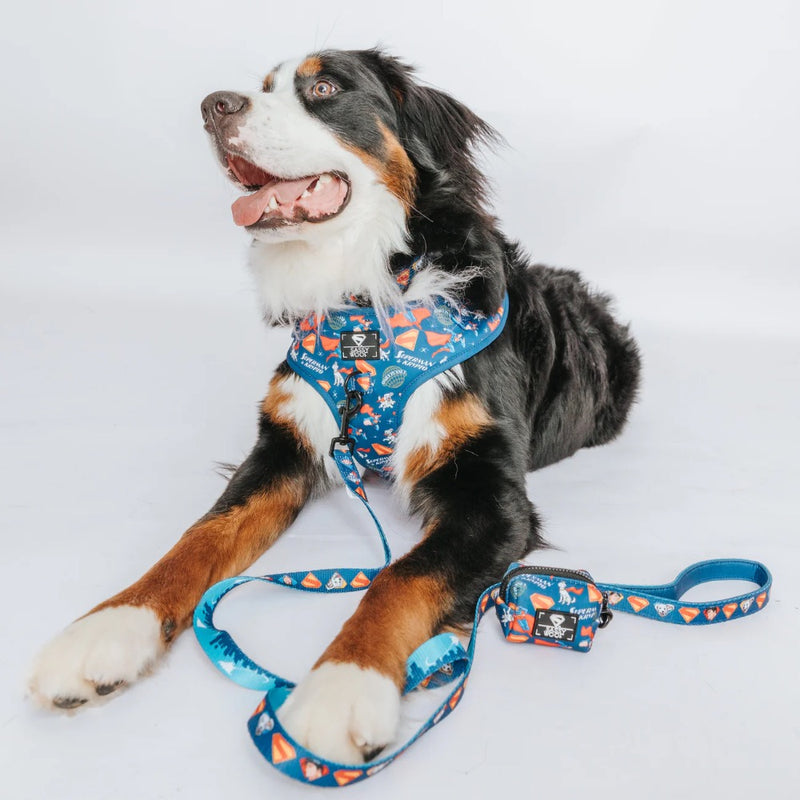 Sassy Woof Dog Adjustable Harness - Superman™ & Krypto™