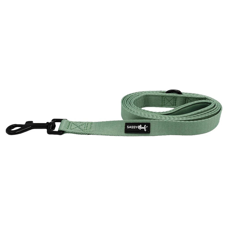 Sassy Woof LEASH - SAGE