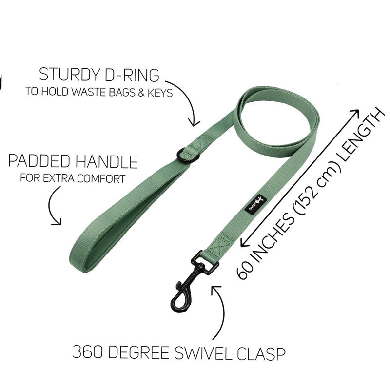 Sassy Woof LEASH - SAGE