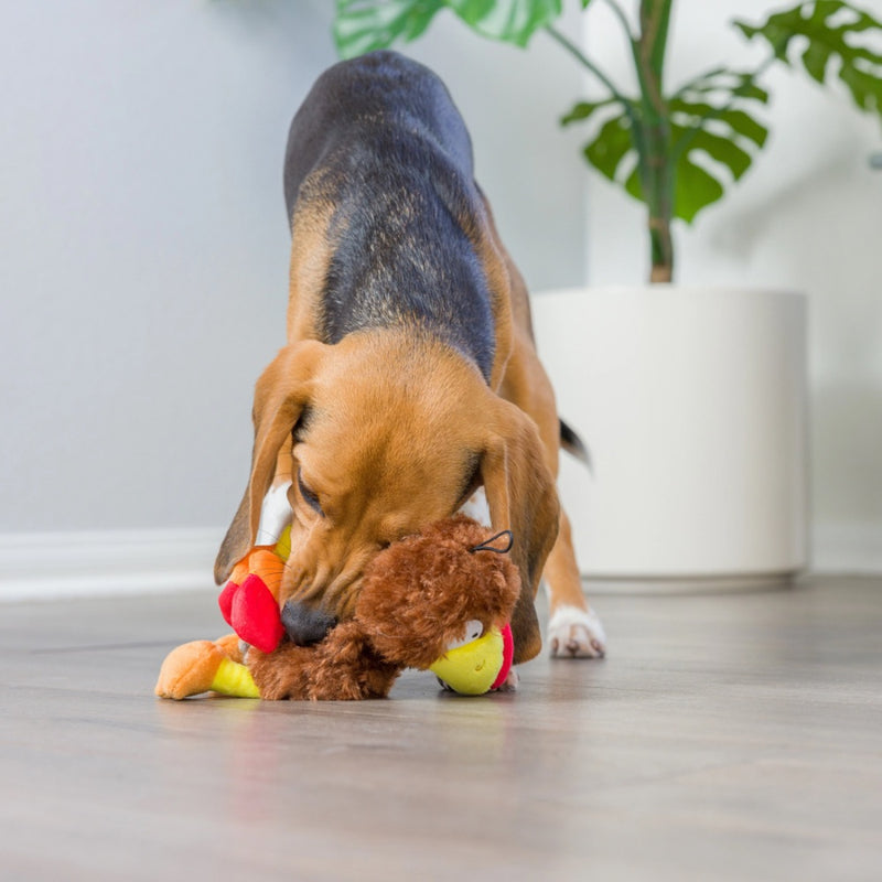 Huxley & Kent Power Plush Wishbone Turkey Dog Toy
