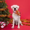 BARK Felix Navidad Plush Dog Toy