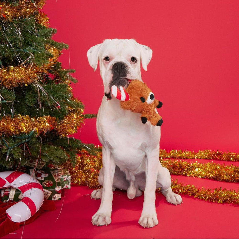 BARK Felix Navidad Plush Dog Toy