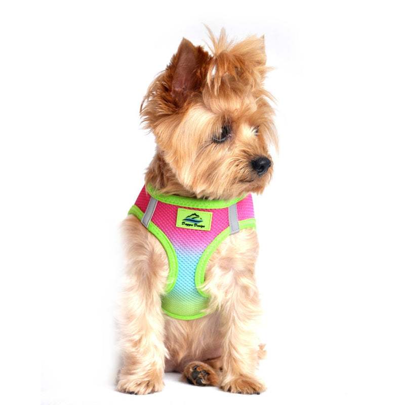 Doggie Design American River Choke Free Dog Harness Ombre Collection - Rainbow