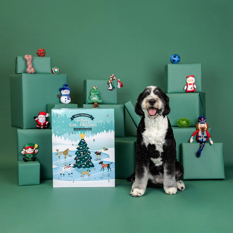 Fringe Studio PetShop A Furry Lil Christmas Dog Toy Advent Calendar