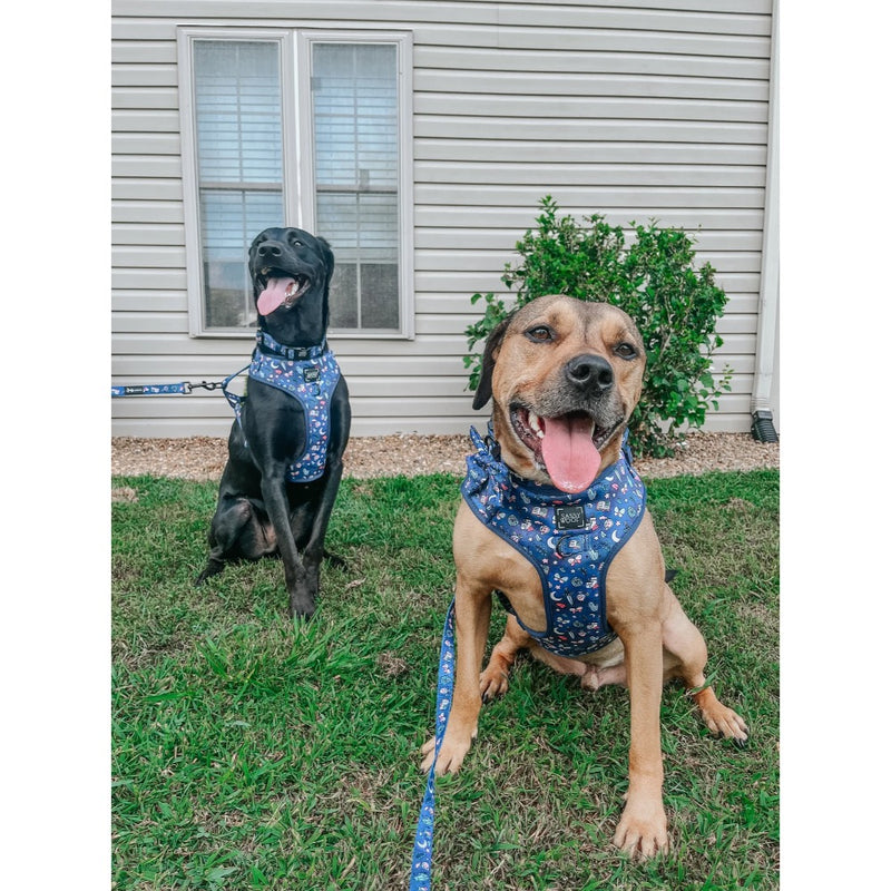 Sassy Woof Adjustable Harness- Spellbound