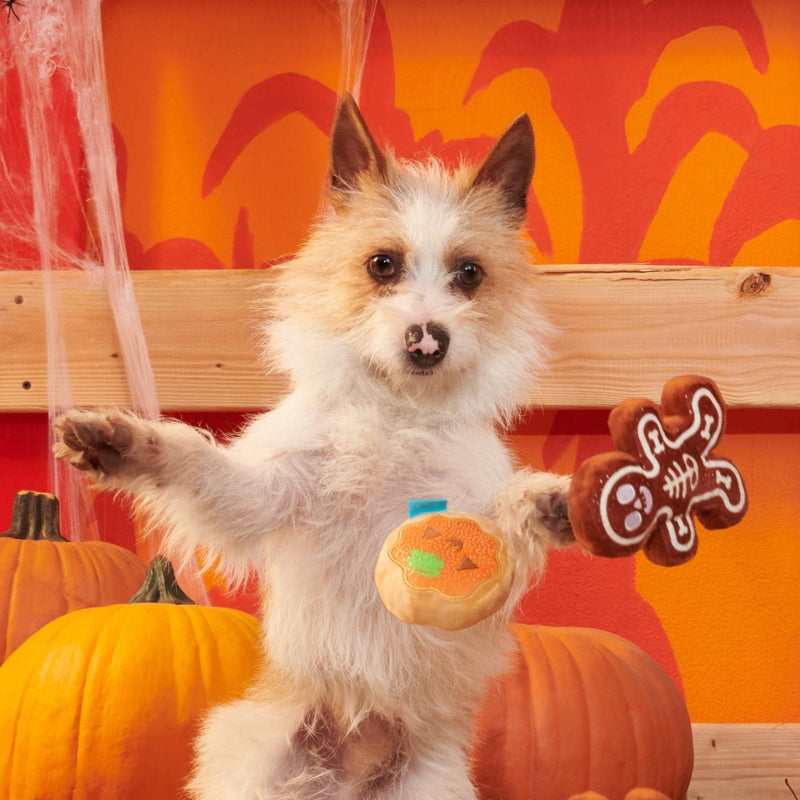 BARK Spookie Cookies Plush Dog Toy- 2 Pack
