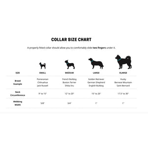 Woof Concept DARK N STORMY 2 Waterproof Collar