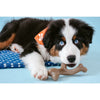 Nylabone Puppy Gourmet Style Strong Chew Toy Wishbone Peanut Butter -Small