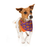 Fuzzyard Jack Jack Jackie Lantern - Bandana - Purple