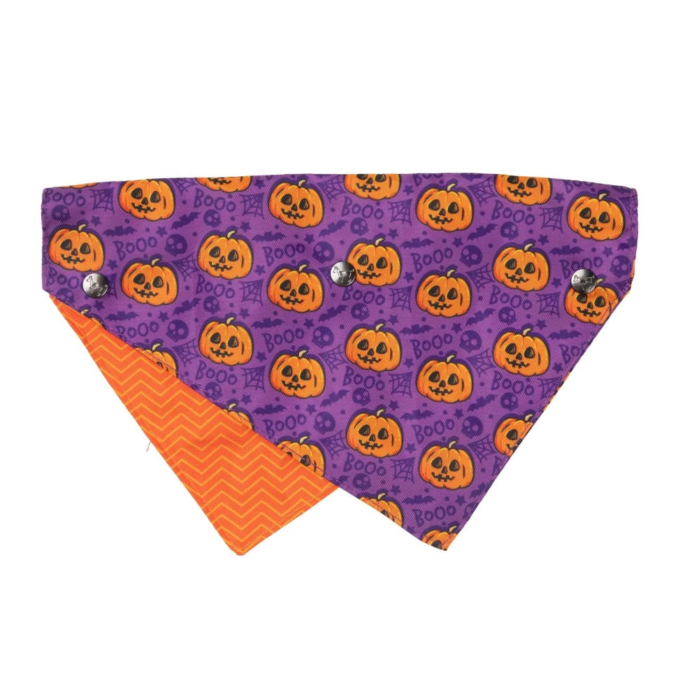 Fuzzyard Jack Jack Jackie Lantern - Bandana - Purple