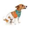 Fuzzyard Jack Jack Jackie Lantern - Bandana - Teal