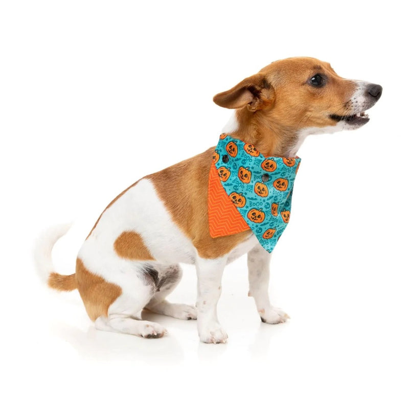 Fuzzyard Jack Jack Jackie Lantern - Bandana - Teal