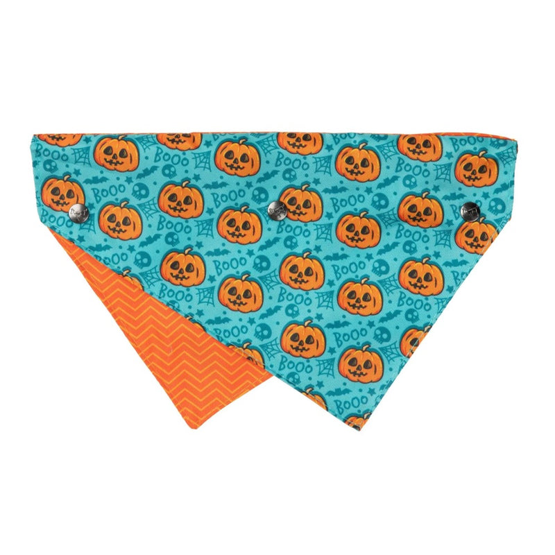 Fuzzyard Jack Jack Jackie Lantern - Bandana - Teal