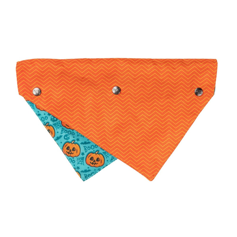 Fuzzyard Jack Jack Jackie Lantern - Bandana - Teal