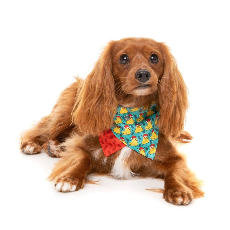 Fuzzyard Merry Quackmas Bandana and Bowtie - 2 Pack