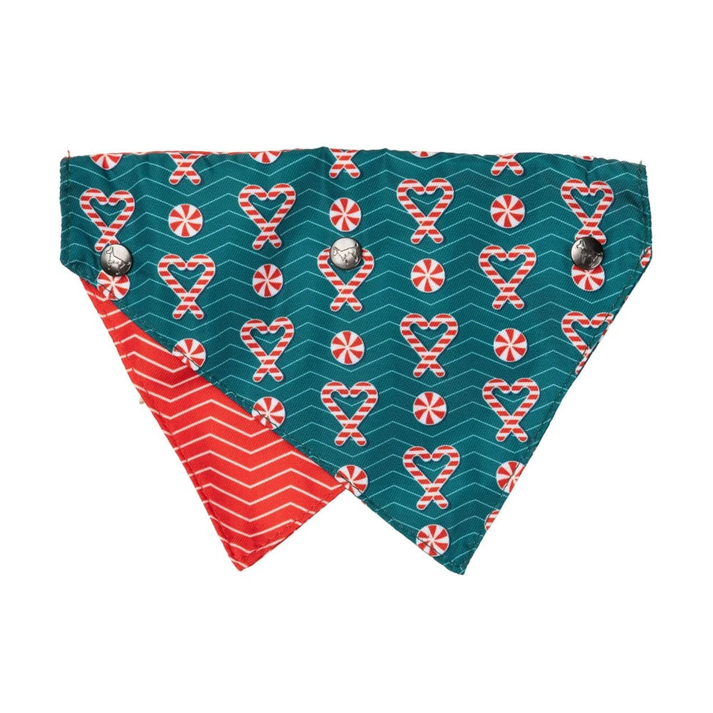 Fuzzyard I Heart Candy Canes Bandana and Bowtie- 2 Pack