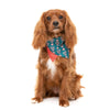 Fuzzyard I Heart Candy Canes Bandana and Bowtie- 2 Pack