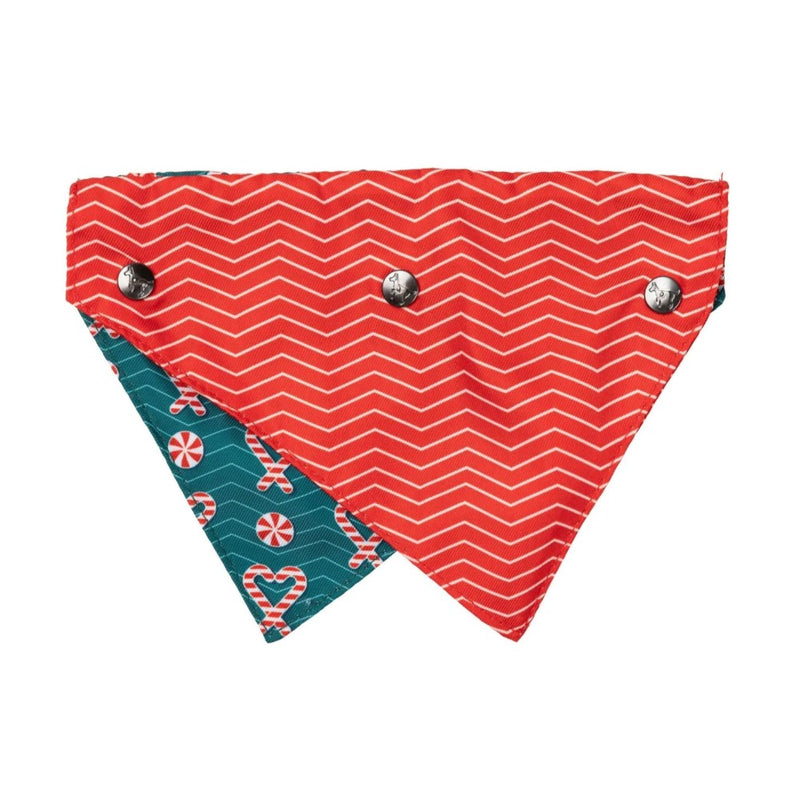 Fuzzyard I Heart Candy Canes Bandana and Bowtie- 2 Pack