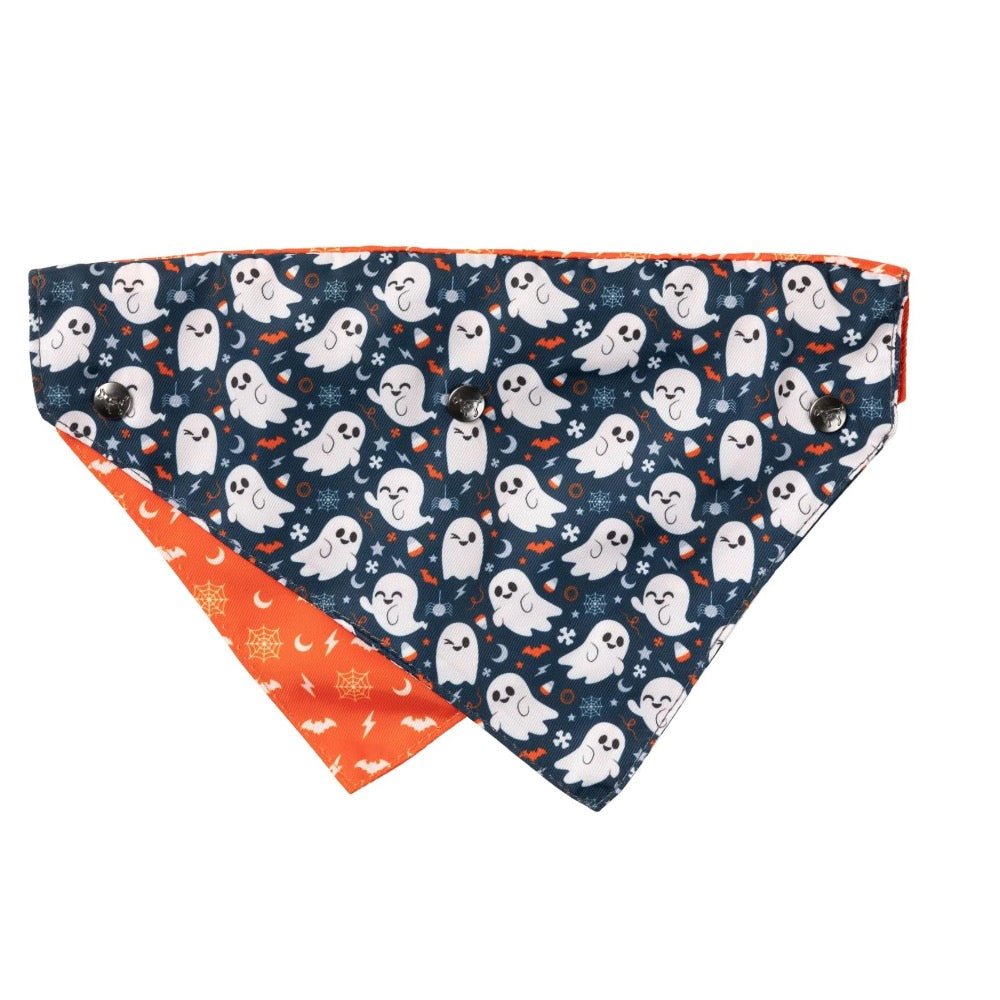 FuzzYard That's The Spirit Bowtie & Bandana - 2pk