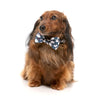 FuzzYard That's The Spirit Bowtie & Bandana - 2pk