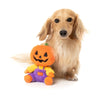 Fuzzyard Jack-O Chan Dog Toy