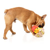 FuzzYard Firequacker Dog Toy