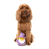 Fuzzyard Sirius Quack Dog Toy