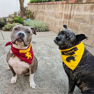 Fundog HP Hufflepup Bandana