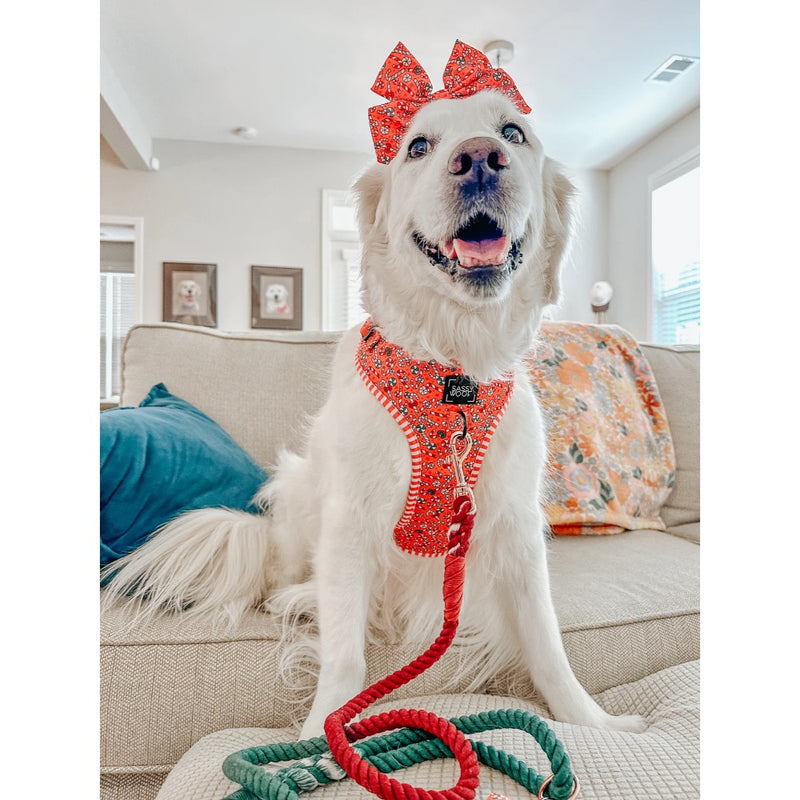 Sassy Woof Dog Adjustable Harness - Puppermint Twist