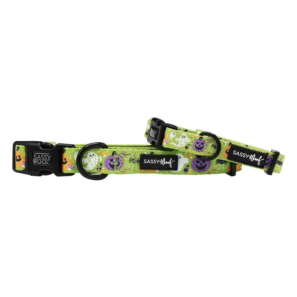 Sassy Woof DOG COLLAR - HAUNT MESS