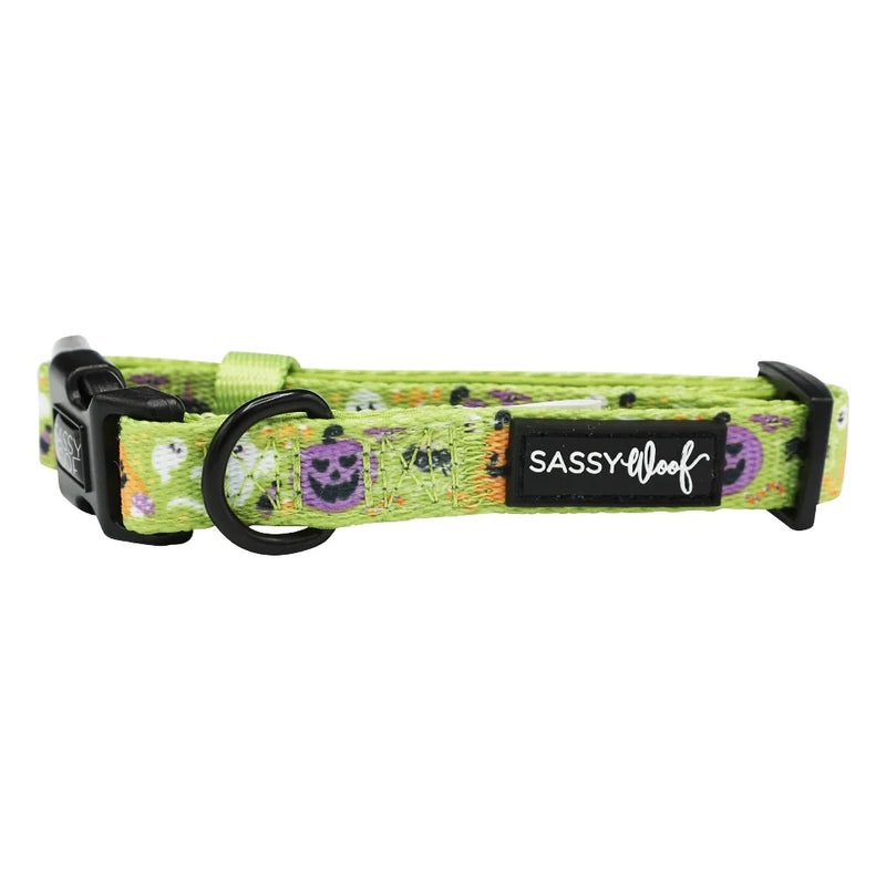 Sassy Woof DOG COLLAR - HAUNT MESS