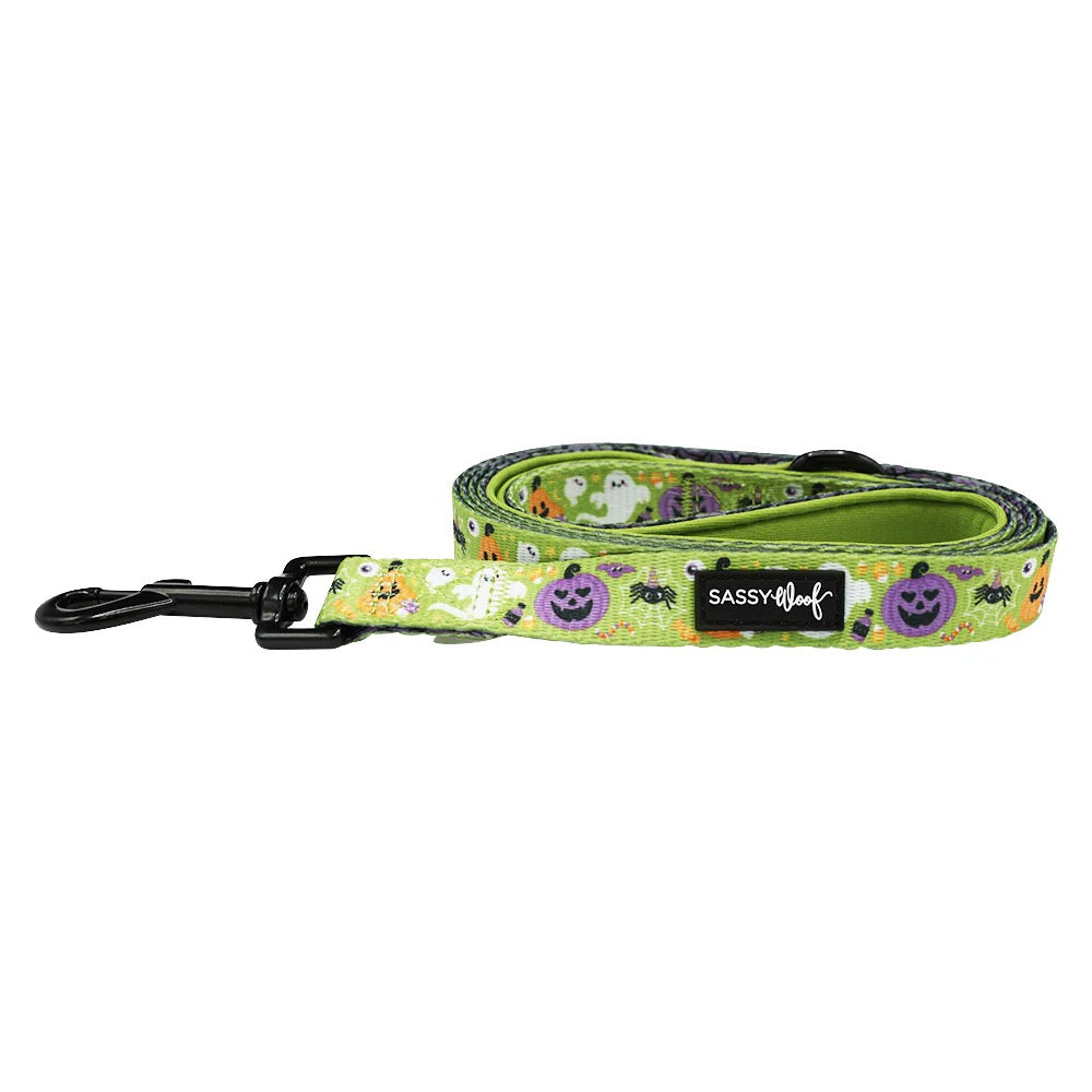 Sassy Woof Dog Leash - Haunt Mess