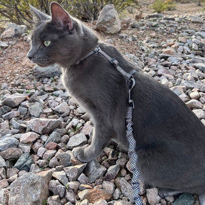 Travel Cat "The Day Tripper" Perfect Adjustable H-Style Cat Harness & Bungee Leash Set