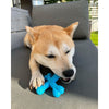 Nylabone Comfort Hold X Bone Power Chew Beef Flavor