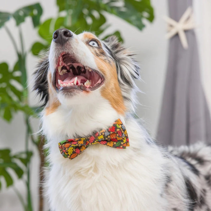 Huxley & Kent Leaves & Nuts Bow Tie