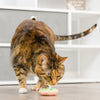 Huxley & Kent Lit Donut & Peppermint Candy Cat Toy - 2pk