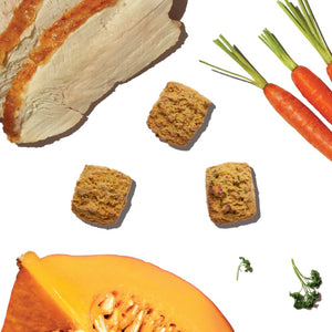 The Honest Kitchen Dog Bone Broth Bites- Roasted with Turkey Bone Broth and Pumpkin