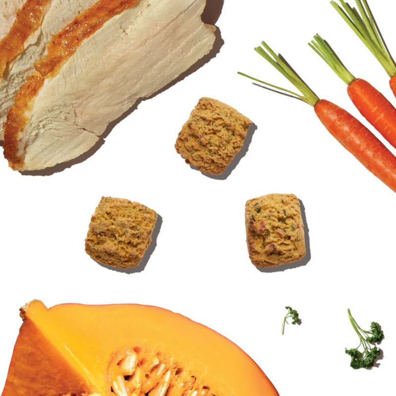 The Honest Kitchen Dog Bone Broth Bites- Roasted with Turkey Bone Broth and Pumpkin