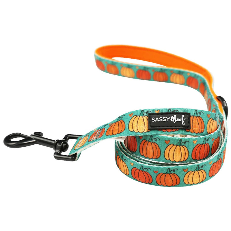 Sassy Woof DOG LEASH - PIE THERE!