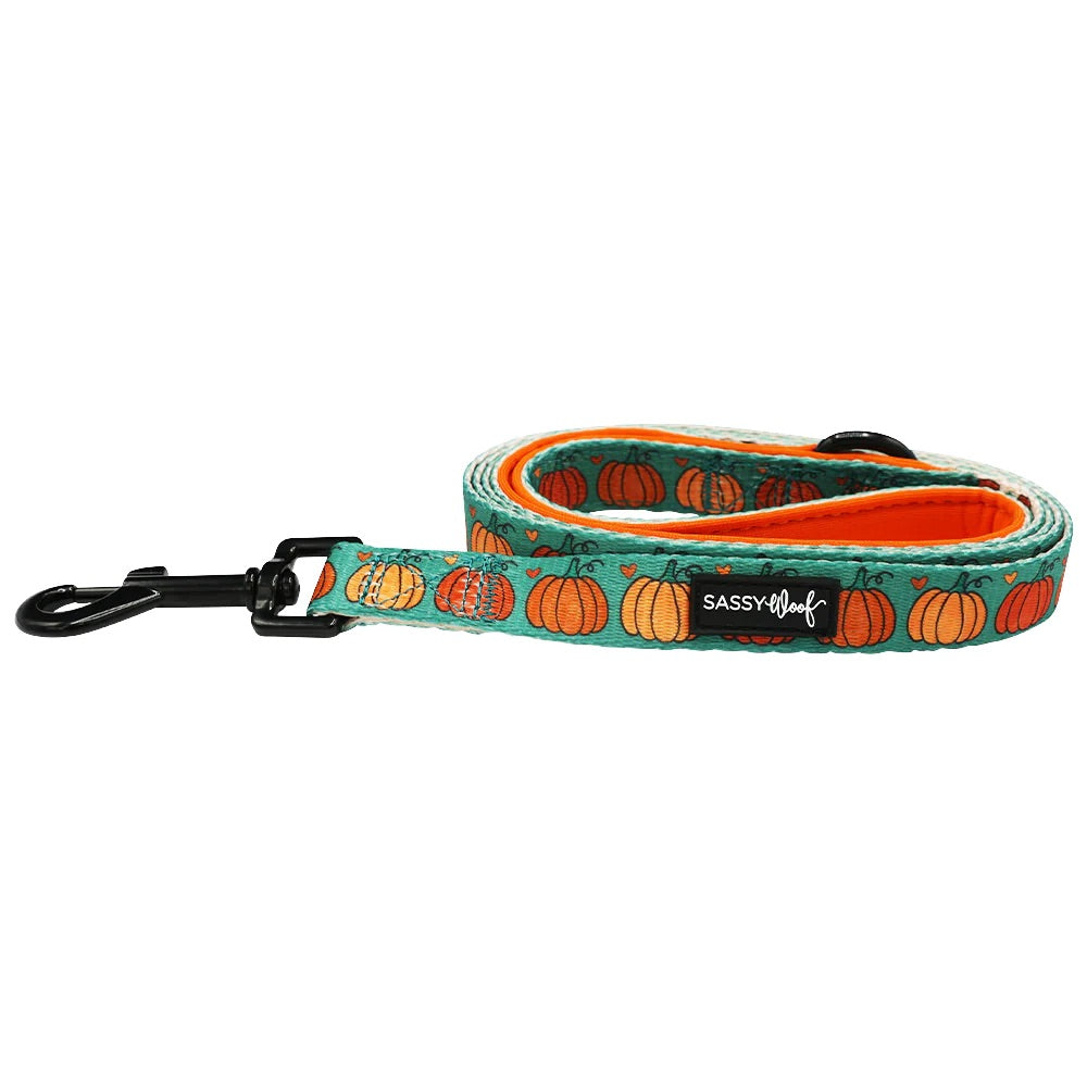 Sassy Woof DOG LEASH - PIE THERE!