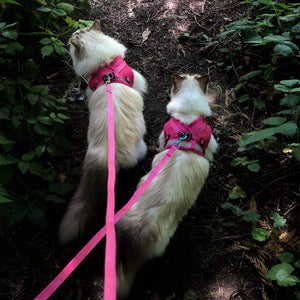 Travel Cat "The Purrfectly Pink" Iridescent Limited-Edition Harness & Leash Set