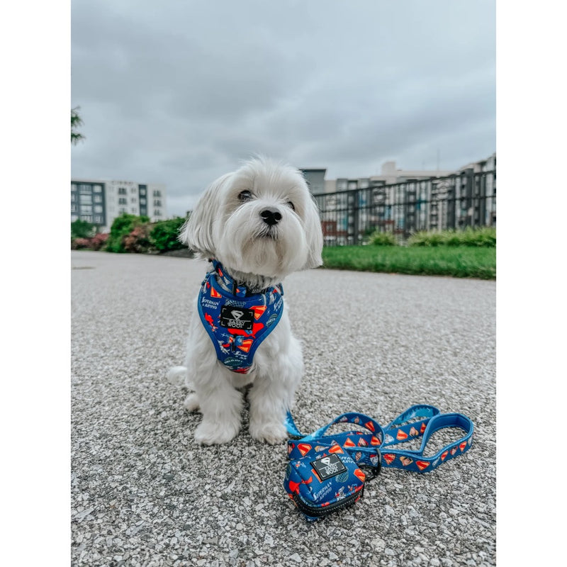 Sassy Woof Dog Adjustable Harness - Superman™ & Krypto™