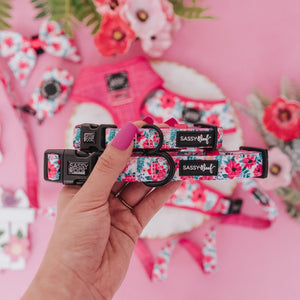 Sassy Woof DOG COLLAR - FLORAL FRENZY