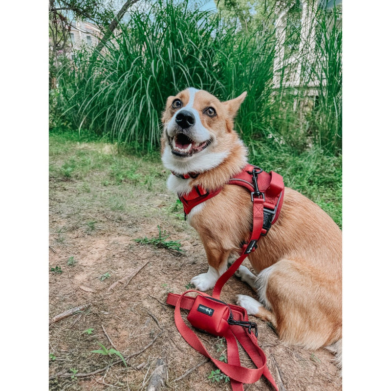 Sassy Woof Dog Leash- Burgundy