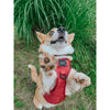 Sassy Woof Dog Step-In Harness- Burgundy